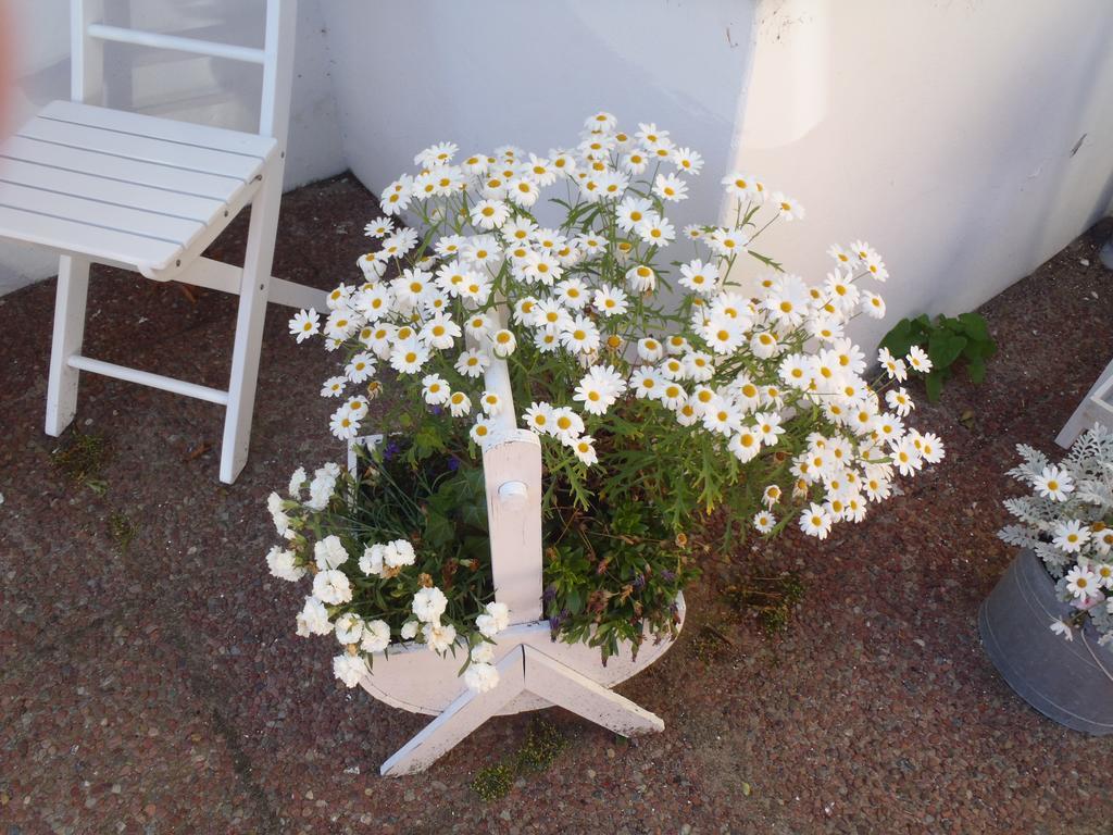 Oddevej 20 Skagen Exterior foto